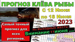 Прогноз клева рыбы на Эту неделю с 12 по 18 Июня Календарь клева рыбы Лунный календарь рыбака