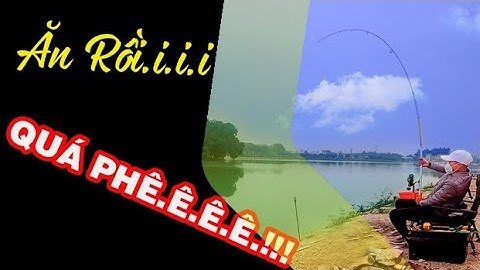 Câu Lục Trắm Đen | Đóng Cá Cũ Cực Phê Với Thính Câu Trắm Đen Lắc 9