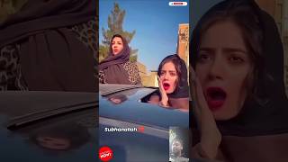Subhanallah🤲 Mashallah birds in the sky are writing Allah😱 #shorts #viralshorts #viralvideo