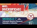 Aprendiendo Desde Casa - Nivel Diversificado - Módulo 7