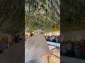 حبك رزق جه ف وقته Foryou Explore حبك رزق جه ف وقته Foryou Explore