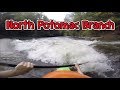 North Potomac Branch Kayaking (2 Laps)