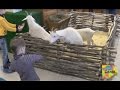 Контактный зоопарк Екатеринбург Petting zoo part 1