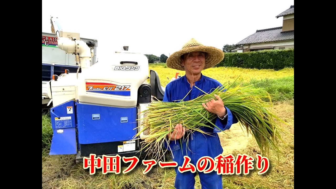 中田ファームの稲作り