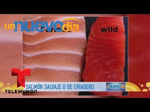 Video: ¿Cuál es la diferencia entre el salmón rojo y el salmón rey?