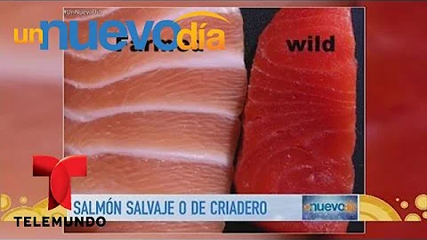 ¿Por qué no se vende salmón salvaje del Atlántico?