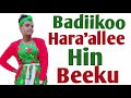 Badiikoo Hara Allee Hin Beeku Badiikoo Hara Allee Hin Beeku