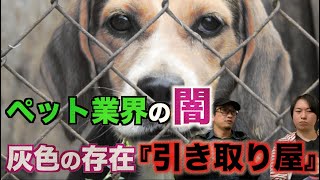【ペット業界の闇】ペットブームの裏で暗躍する『引き取り屋』とは⁉︎【閲覧注意】