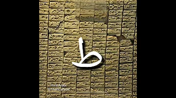 Letter ط In Arabic حرف الطاء في اللغة العربية 