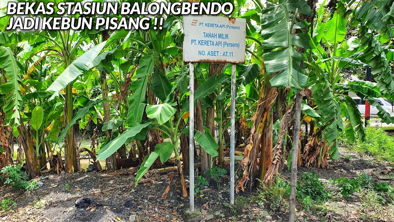 STASIUN BALONGBENDO DAH HILANG TAPI RUMAH DINASNYA UTUH | REL MATI KRIAN - GEMPOLKEREP