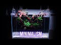 Simple planted aquarium with epiphyte plants  step by step low tech aquascaping tutorial  ep1