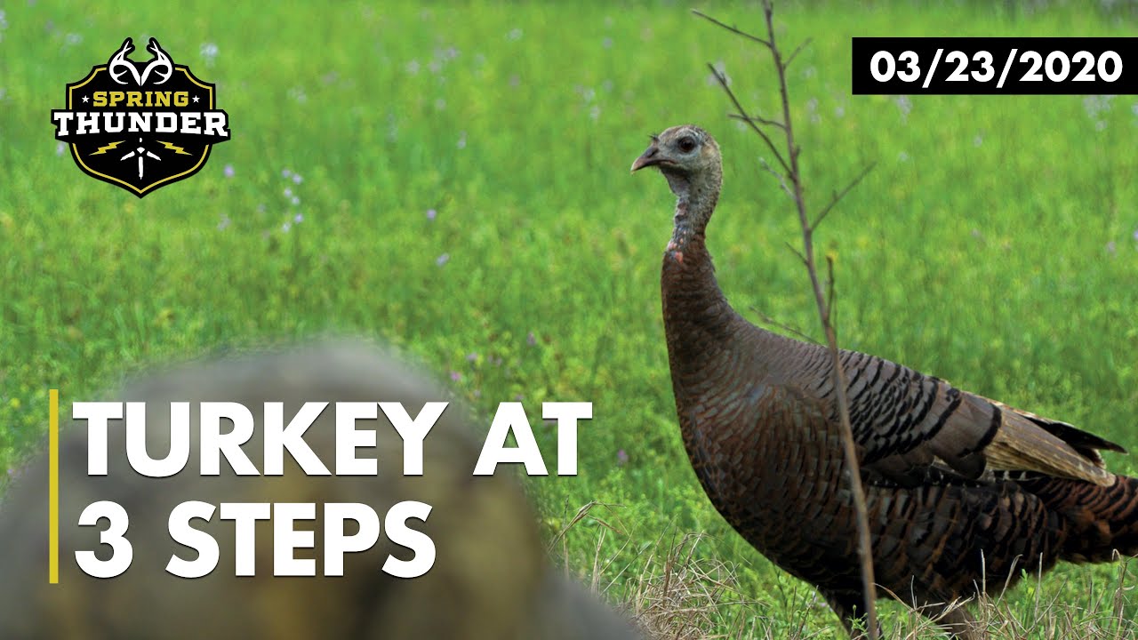 Turkey Season Opening Day Big Hen At 7 Yards Realtree