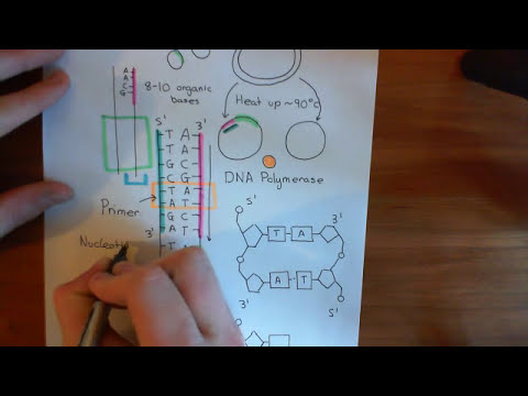 Video: Bakit namin ginagamit ang Sanger sequencing?