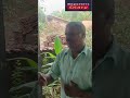 Vaddem Sanguem's preparations for Adivasi Mahotsav are underway ,the local reacted