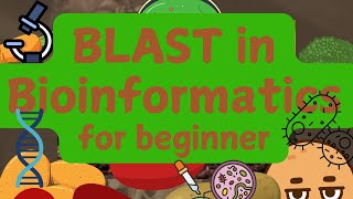 What Is BLAST in Bioinformatics? A Beginner’s Guide to Sequence Analysis 🧬🔍