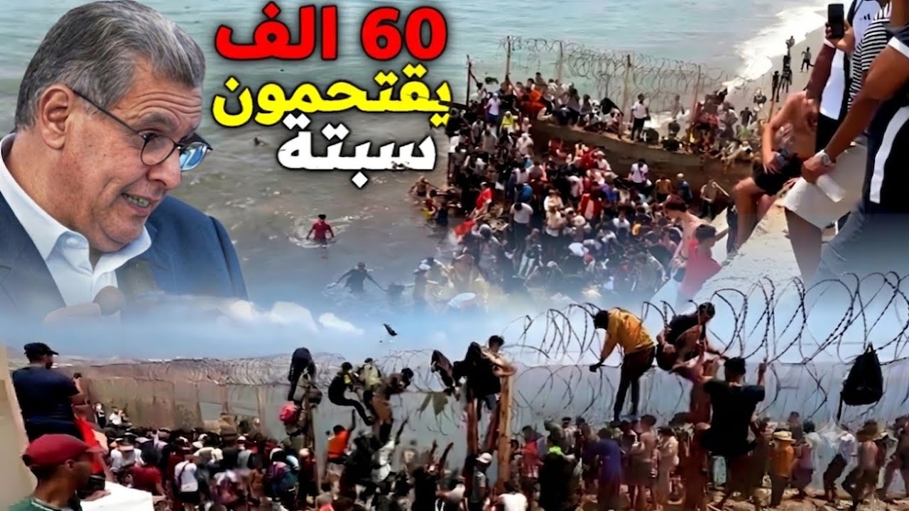 Latest Title & Thumbnail