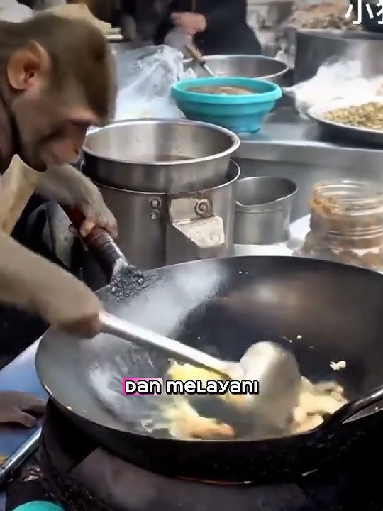 Viral!! Monyet masak