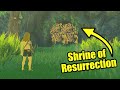 What if you visit shrine of resurrection in zelda tears of the kingdom