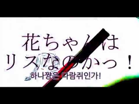 하나쨩은 다람쥐인가! (花ちゃんはリスかっ！) - 신세이 카맛테쨩