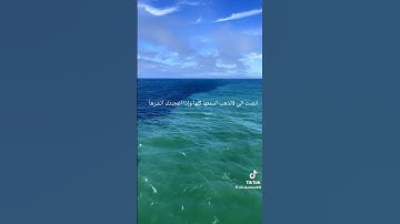 سورة الرحمن بصوت الشيخ ياسر الدوسري