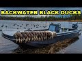 Black ducks galore backup plan turned into a banger walkin duck hunt