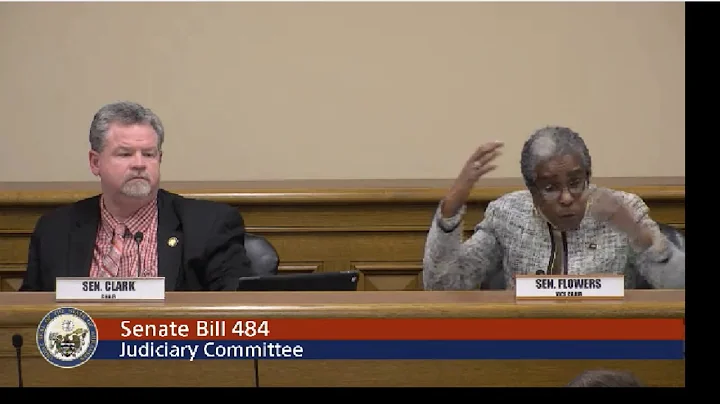 Arkansas Sen. Stephanie Flowers on 'stand your gro...