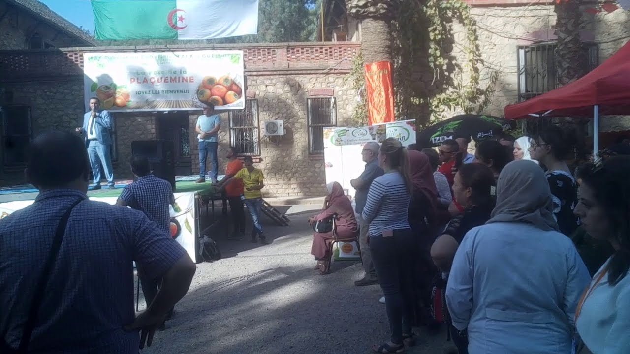 Mechtras Mechtras , Tizi-Ouzou : 8ème Edition De La Fête De La Plaquemine - YouTube