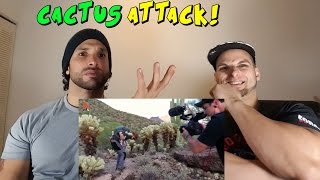 extreme cactus attack reaction