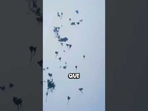 Le Temps S Arrête Ici