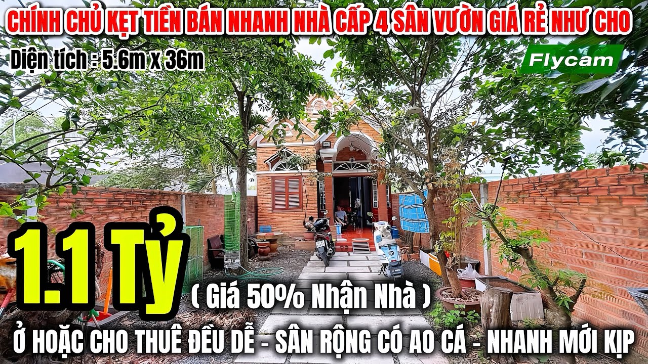 Chính Chủ Kẹt Tiền 🥲 Bán Nhanh Nhà Cấp 4 Sân Vườn Giá Rẻ Như Cho | REVIEW NHÀ ĐẸP BÌNH CHÁNH