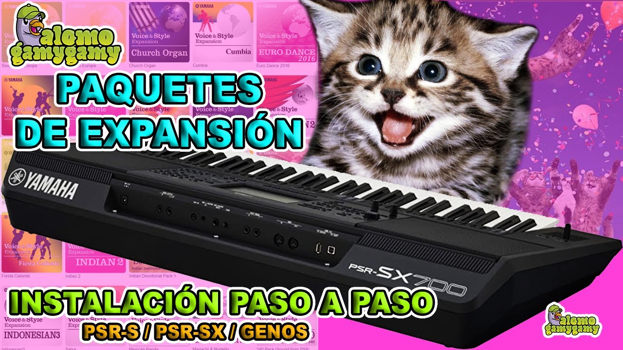 Styles Thé Dansant USB Pour Yamaha Genos, PSR S/SX, CVP Et DGX - Pack Exclusif Ballroom Et Salon