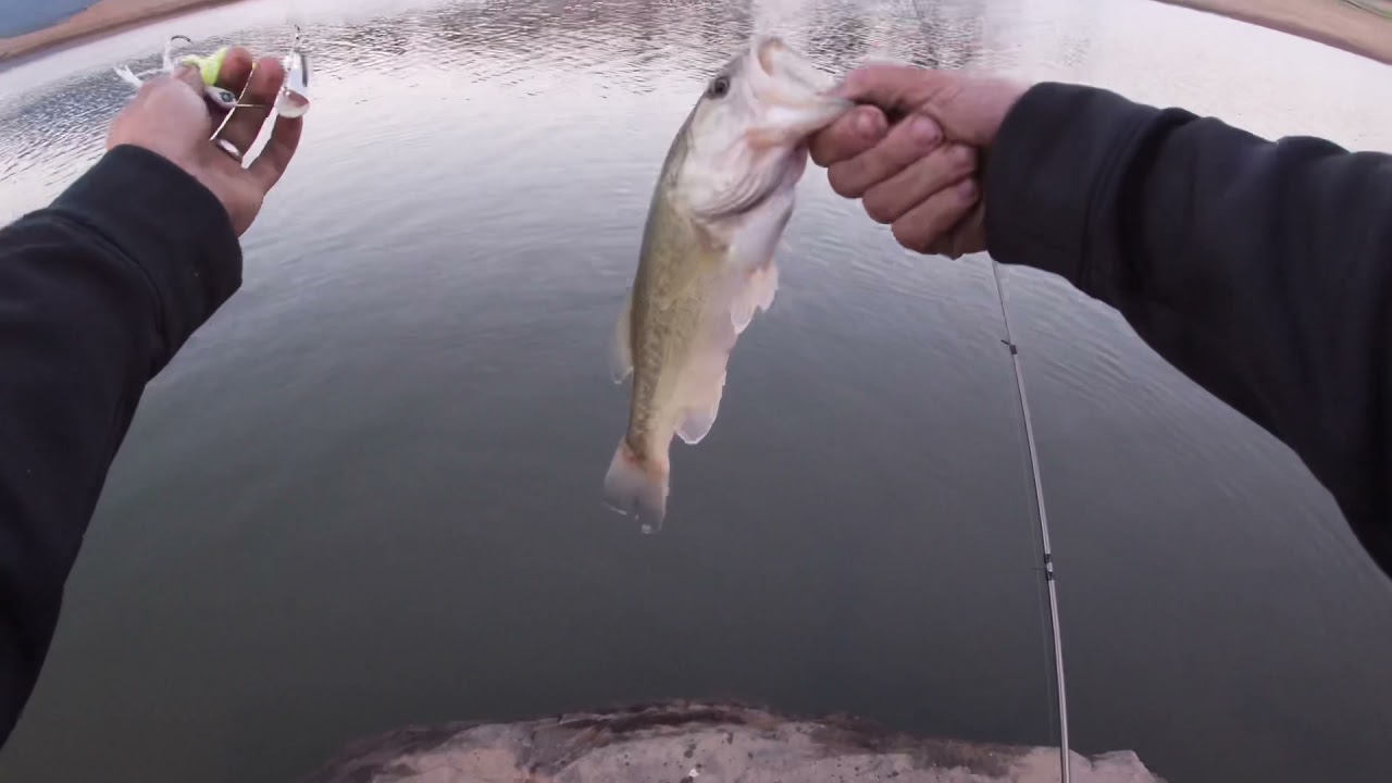 Chasing big bass Emigrant lake Oregon #bassfishing #bass #oregon