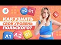 Как определить свой уровень польского