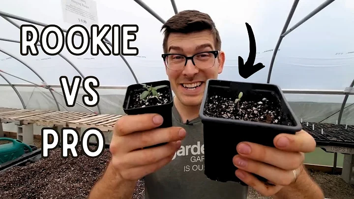 The Difference Was SHOCKING (Rookie Vs. Pro Seed Starting)