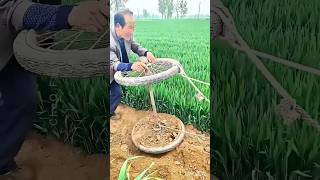 🚤🌱 A smart farming technique that saves time, water, and hard work!🌄🌾🌻🍉🍅🍎🍍🥭🫑