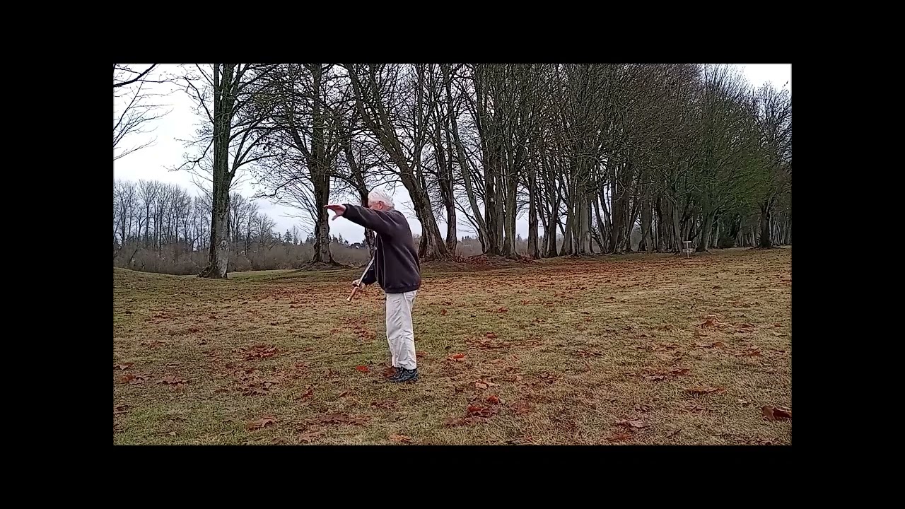 Symmetrical Yang Taiji Broadsword Sections 1&2