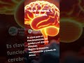 El Omega-3 🐟 transforma tu salud desde adentro: corazón fuerte, mente clara y bienesrar #nutrientes