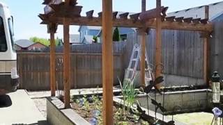 2578 Lexington Ave video tour