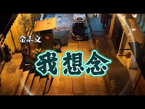 金志文 - 我想念（深情版）『我想念那個不下雪的冬天  我想念你躲在我圍巾裡面。』【高音質|動態歌詞Lyrics】♫ #夏至未至  #emo#滄桑歌聲#悲傷情歌