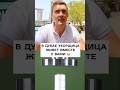 Уборщица живёт вместе с вами? #denysdenysdubai80 #денисскворцов #denisskvortsov #дубай