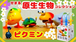 PIKUMIN ピクミン せまる原生生物 コレクション フルコンプ 全6種類 Unboxing Pikmin “Semaru Protist Collection”! Nintendo store