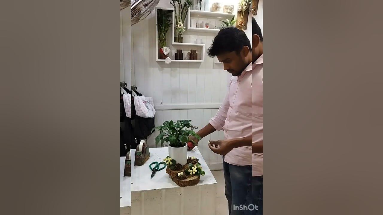 how-make-to-plants-decoration-plant-ko-decorate-kaise-kare