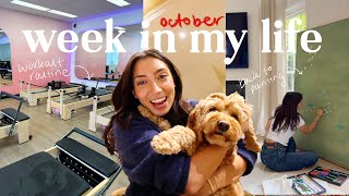 Celebrity WEEK IN MY LIFE vlog: living alone again, finding routine & painting... Net Worth