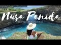 Best spot in Bali! | Nusa Penida travel vlog