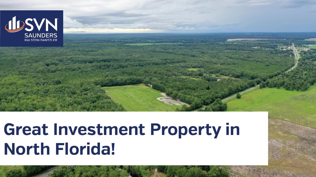 Madison I-10 Timber | 450 ± AC | Hunting & Recreation | Timber | FOR SALE in Madison, FL