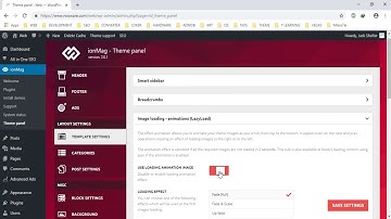 Enable or Disable LazyLoad Images ionMag WordPress Theme