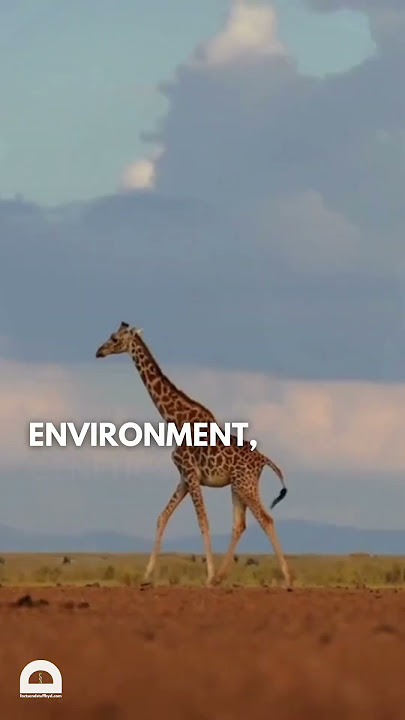 Animal Behavior | #biology #science #zoology #animals