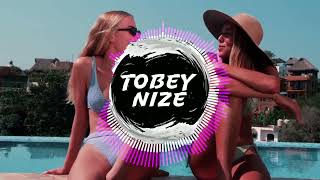Shirin David - Bauch Beine Po (TOBEY NIZE REMIX)