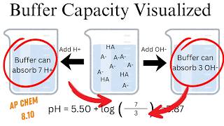 Celebrity The Two Things You Need to Know About Buffer Capacity - AP Chemistry 8.10 Net Worth