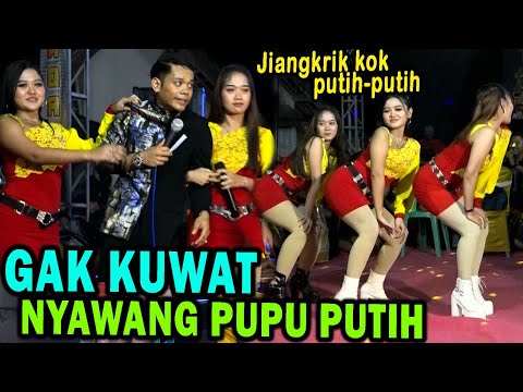 Cak Percil Cs terbaru !! Petuk penyanyi sing pupune putih